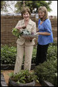 Mrs. Laura Bush and Ms. Jenna Bush pick vegetables during their visit to the Fann Hospital garden with Senegalese First Lady Viviane Wade and her daughter Tuesday, June 26, 2007, in Dakar, Senegal. Supported by USAID, the Fann Hospital gardens provide fresh vegetables to address the nutritional needs of patients with HIV/AIDS, an overlooked, but essential part of their care. White House photo by Shealah Craighead