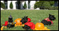 The White House pets, India, Miss Beazley and Barney, get ready for a Boo-tiful Halloween Wednesday, Oct. 31, 2007, as they sit for photos on the South Lawn of the White House. Being very patient, from left, are India, as the wizard; Miss Beazley, as a strawberry, and Barney, as a cowboy. White House photo by Shealah Craighead