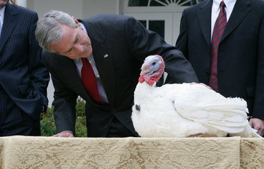 President George W. Bush offers an official pardon to May, the 2007 Thanksgiving Turkey, during festivities Tuesday, Nov. 20, 2007, in the Rose Garden of the White House. In pardoning May, and the alternate, Flower, the President said, 