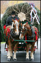 Scott D. Harmon of Brandy Station, Va., drives a horse-drawn carriage with horses "Karry and Dempsey"delivering the official White House Christmas tree Monday, Nov. 26, 2007, to the North Portico of the White House. The 18-foot Fraser Fir tree, from the Mistletoe Meadows tree farm in Laurel Springs, N.C., will be on display in the Blue Room of the White House for the 2007 Christmas season. White House photo by Joyce N. Boghosian