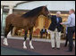 Vice President Dick Cheney is shown one of the champion horses of Saudi Arabia King Abdullah bin Abd al-Aziz Saud Friday, March 21, 2008 at the King’s ranch outside Riyadh, Saudi Arabia. White House photo by David Bohrer
