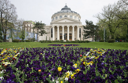 Pansies and tulips decorate the grounds outside the Romanian Athenaeum concert hall, venue for the April 3 cultural event at the 2008 NATO Summit in Bucharest. White House photo by Chris Greenberg