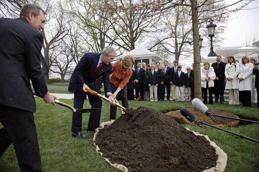 President George W. Bush and Mrs. Laura Bush shovel dirt to plant a Scarlet Oak tree Wednesday, April 9, 2008, at the commemorative tree planting on the North Lawn of the White House. The tree is being planted to replace a tree that fell on October, 25, 2007, a Scarlet Oak that had been planted in 1892 by President Benjamin Harrison. Relatives of President Benjamin Harrison were invited to join the President and Mrs. Bush at the tree planting ceremony, Harrison's great-grandson, Ben Walker, is seen at left. White House photo by Eric Draper