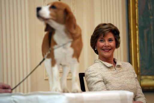 Mrs. Laura Bush smiles as the Westminster Kennel Club's 2008 Best in Show winner, Uno, is introduced to invited guests Monday, May 5, 2008, in the East Room during the beagle's visit to the White House Monday, May 5, 2008. White House photo by Shealah Craighead