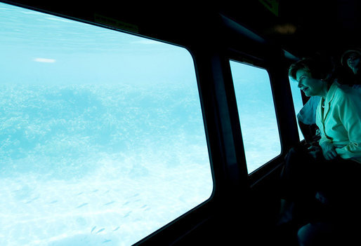 Mrs. Laura Bush looks out from underwater windows during her coral reefs and ocean conservation tour Saturday, May 17, 2008, in Sharm el Sheikh, Egypt. White House photo by Shealah Craighead