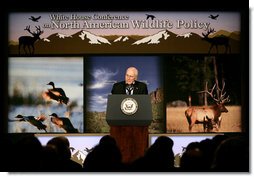Vice President Dick Cheney addresses the White House Conference on North American Wildlife Policy Friday, Oct. 3, 2008 in Reno. Bringing together a wide range of conservationists, government officials, sportsmen and Congressional representatives, the conference provides a framework for participants to discuss topics on wildlife management, conserving and managing natural habitats, energy development, climate change and opportunities for hunting on public lands. White House photo by David Bohrer