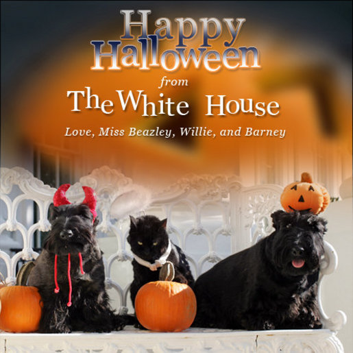 First Family pets get in the Halloween spirit, Friday, Oct. 17, 2008, in a portrait on the Blue Room balcony on the south side of the White House. From left are Miss Beazley, Willie the cat, and Barney. The dogs are Scottish Terriers. White House photo by Joyce N. Boghosian