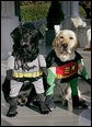 Vice President Dick Cheney's Labrador retrievers are ready for Halloween dressed as Batman and Robin, Thursday, Oct. 30, 2008, at the Vice President's Residence at the Naval Observatory in Washington, D.C. The dynamic duo's secret identities are Jackson, left and Nelson, right. White House photo by David Bohrer