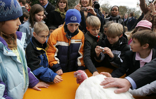 Young members of the Rose Garden audience gather around Pumpkin, the National Thanksgiving Turkey, after it was officially pardoned by President George W. Bush during festivities Wednesday, Nov. 26, 2008, at the White House. White House photo by Joyce N. Boghosian