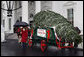 Mrs. Laura Bush delivers remarks as she stands with the White House Christmas tree Sunday, Nov. 30, 2008, in front of the North Portico of the White House. The Fraser Fir tree, from River Ridge Farms in Crumpler, N.C., will be on display in the Blue Room of the White House for the 2008 Christmas season. White House photo by Joyce N. Boghosian