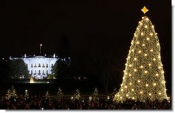 The National Christmas Tree shines brightly as it is lit Thursday, Dec. 4, 2008, during the 2008 Lighting of the National Christmas Tree Ceremony on the Ellipse in Washington, D.C. White House photo by Chris Greenberg