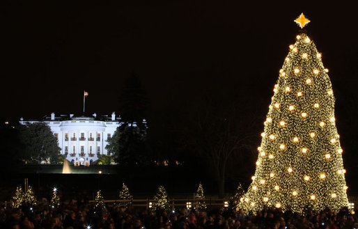 The National Christmas Tree shines brightly as it is lit Thursday, Dec. 4, 2008, during the 2008 Lighting of the National Christmas Tree Ceremony on the Ellipse in Washington, D.C. White House photo by Chris Greenberg