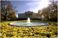 The berries on the White House Hawthorne trees come to life in the fall. White House photo by Tina Hager.