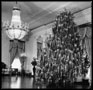 1954 White House Christmas Tree