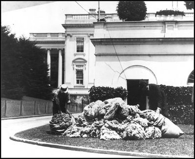 Pictured next to the West Wing is a mound of wool from President Woodrow Wilson's sheep. Wilson was president from 1913 to 1921.