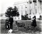 President Benjamin Harrison (1889-93) gave his grandchildren a pet goat named His Whiskers. One day, while pulling the president's grandchildren around in a cart, His Whiskers took off through the White House gates. President Harrison chased him in hot pursuit.