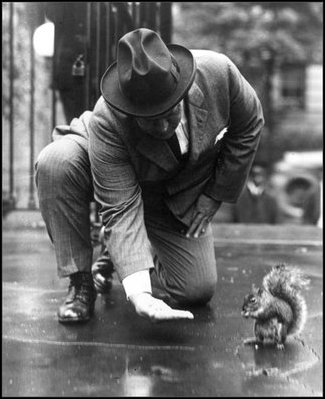 Navy Secretary Denby makes friends with Pete the squirrel on the White House lawn on October 10, 1922 during President Warren Harding's Administration. Squirrels have been pets and pests to presidents over the years. 