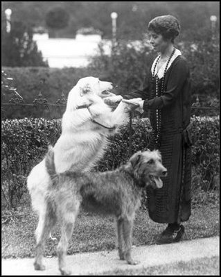 First Lady Grace Coolidge plays with her dogs at the White House. Grace Coolidge was so fond of her white collie, Rob Roy, that she included him in her official portrait, which hangs in the China Room in the White House. 