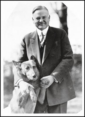 President Herbert Hoover (1929-33) poses with his dog, King Tut. 