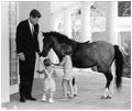 President John F. Kennedy (1961-63) spends some time at the White House with his children, Caroline and John Jr., and their pony, Macaroni.