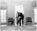 President Lyndon B. Johnson (1963-68) receives a greeting from his beagles, Him and Her. Johnson's beagles made the cover of Life magazine.