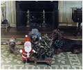 President Richard Nixon's dogs pose for a picture during the holidays. This canine trio included a French poodle named Vicky, a Yorkshire terrier named Pasha and an Irish setter named King Timahoe. Nixon was president from 1969 to 1974.