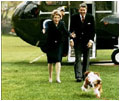After returning to the White House, President Ronald Reagan (1981-89) and his wife Nancy receive a warm greeting from Rex, their King Charles spaniel.