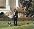 President George H. W. Bush (1989-93) walks onto the White House lawn with his Springer Spaniel, Millie, and Millie's new puppies. One of the puppies is Spot, President George W. Bush's dog, that lives at the White House today.