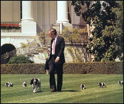 President George H. W. Bush (1989-93) walks onto the White House lawn with his Springer Spaniel, Millie, and Millie's new puppies. One of the puppies is Spot, President George W. Bush's dog, that lives at the White House today.