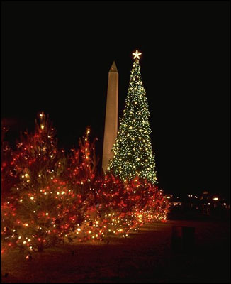  1965 National Community Christmas Tree.