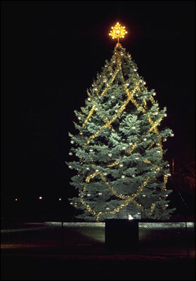  1973 National Community Christmas Tree.