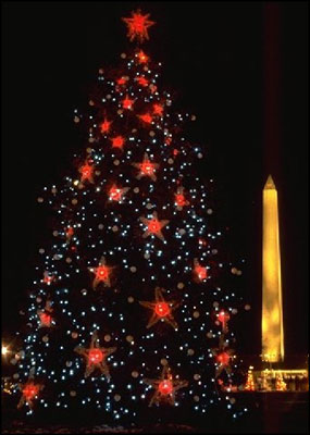  1981 National Community Christmas Tree.