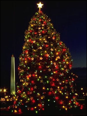  1990 National Community Christmas Tree.