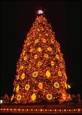 1993 National Community Christmas Tree.