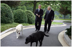 Vice President Dick Cheney is joined by his dogs Dave, left, and Jackson, right, during an interview with John King of CNN, Thursday, June 22, 2006, at the Vice President’s Residence at the Naval Observatory in Washington D.C.
